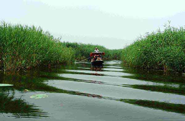 華北明珠白洋淀