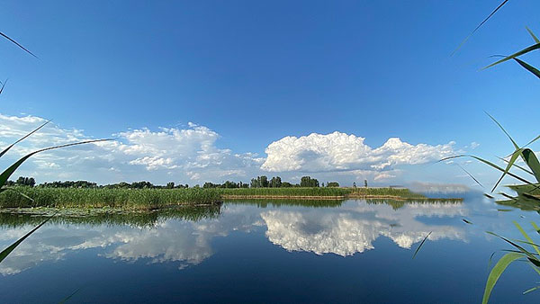 西柏坡干部培訓 西柏坡干部培訓